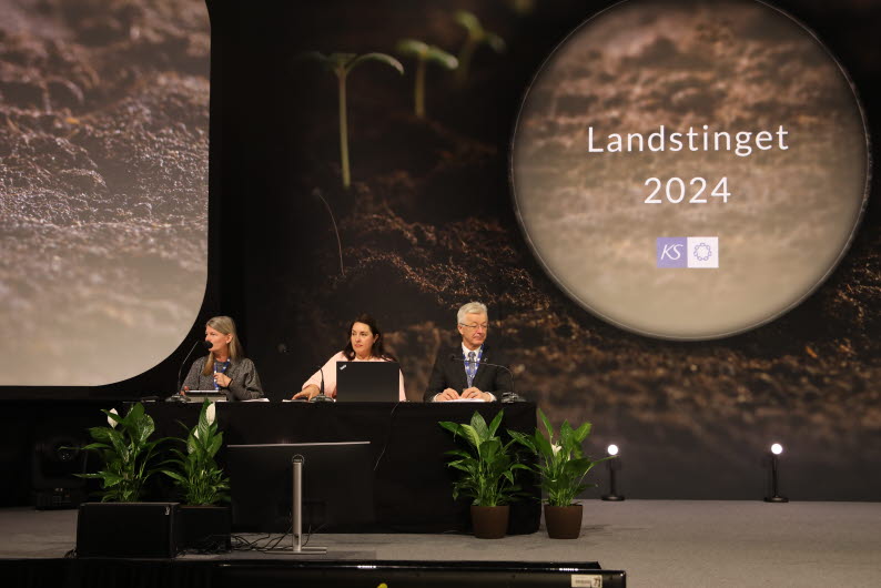 Landstinget 2024